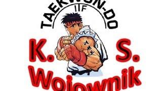 WYMAGANIA EGZAMINACYJNE NA 9 CUP W TAEKWON-DO ITF