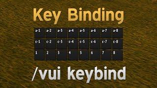 HydraUI - Key Binding