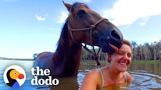 Loyal Horse And Her Mom Have The Strongest Bond | The Dodo