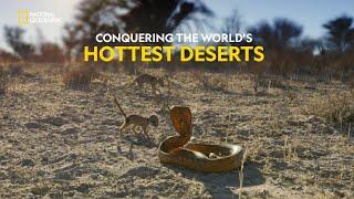 Survival in the Desert | Hostile Planet | हिंदी | S1 - E4 | Nat Geo Wild