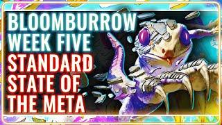 MTG Standard Decks Tier List for Bloomburrow Week 5 | MTG Rebellion