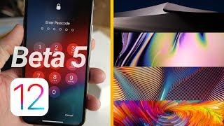 iOS 12 Beta 5 & Public Beta 4 Features & Changes + New Wallpapers!