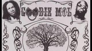 Goodie Mob - Beautiful Skin