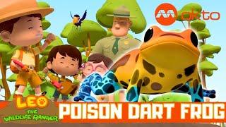 Colourful POISON DART FROG Rescue ‍️ | Leo the Wildlife Ranger Spinoff S6E11 | @mediacorpokto