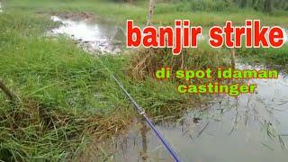 Casting gabus || panen strike ikan haruan sewaktu air surut