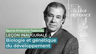 Biologie et génétique du développement - Spyros Artavanis-Tsakonas (2001)