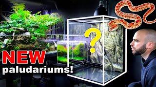 *NEW* Vivariums & Paludariums: SNAKES, AMPHIBIANS OR LIZARDS? || MD FISH TANKS