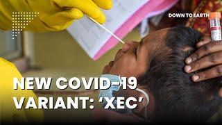 Why is the new COVID-19 variant, XEC, 'more contagious'?