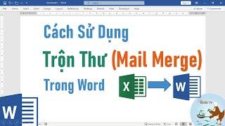 Hướng dẫn cách sử dụng Mail Merge (trộn thư) trong Word