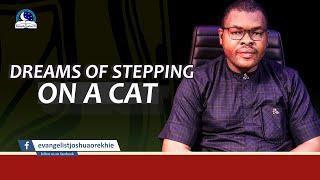 The Meaning of Stepping On A Cat in Dreams II Evangelist Joshua TV