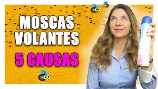 Moscas Volantes - 5 Causas das Moscas Volantes