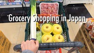 Shopping Trips Compilationsupermarket, Daiso, drug store, goodies shop in Japan