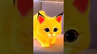 Yellow cat | #cat #cats #kitten #cute #pikachu #meow #memes #trendingshorts