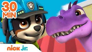 PAW Patrol Dinosaur Rescues! w/ Rex & Zuma  | 30 Minute Compilation | Nick Jr.