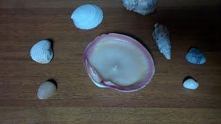 Свеча в ракушке Мастер класс/Candle in seashell / Ракушки в интерьере