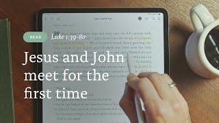 Reading: John prophecies in the womb (Luke 1:39-80)