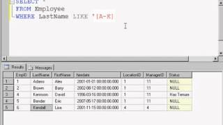 SQL 2008 SQL Query Using Criteria with the WHERE clause