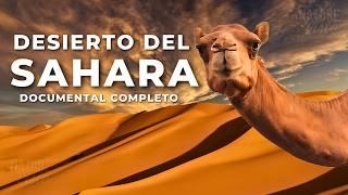 DESIERTO DEL SAHARA | Una Tierra de Extremos - Documental Completo