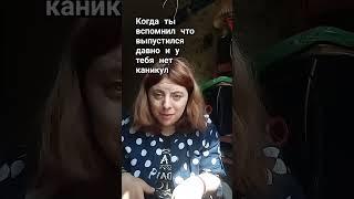 #каникулы #shortvideo #юмор #video #comedy #sorts #прикол #смешноевидео #funny #video #прикол