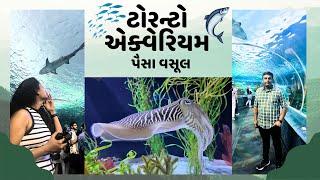 Canada Toronto Aquarium (Ripley's Aquarium) | કેનેડા ટોરન્ટો એક્વેરિયમ