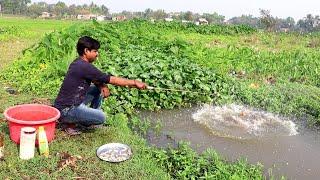 Fishing Video || Fishing with a hook in the village field is a different kind of fun || Hook fishing