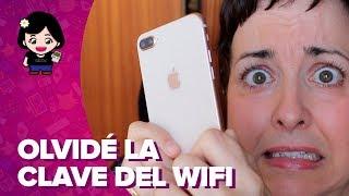 Cómo saber la CONTRASEÑA de tu WIFI