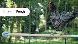 Chicken Perch | The Omlet Chicken Perch | Omlet Pet Products