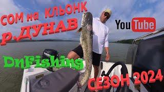 СОМ на КЛЬОНК ! Река ДУНАВ СЕЗОН 2024! CATFISHING : WITH CLONK ! Danube River!