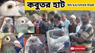 Uluberia pet market | Current Exotic Pigeon's Price Update at Uluberia 30/12/2023 Visit | One Moon