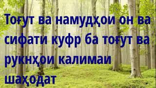 Тоғут ва сарварони он ва сифати куфр ба тоғут Абу Суҳайб