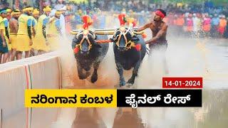 Naringana Kambala Final race 2024 | ನರಿಂಗಾನ ಕಂಬಳ ಫೈನಲ್ ರೇಸ್