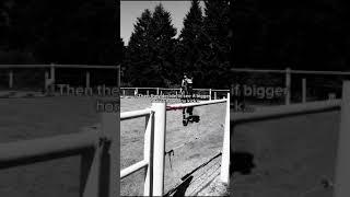 Do bigger horses have and kick? #horse #equestrian #ponys