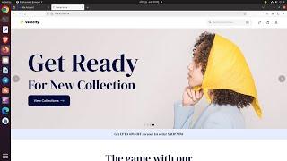 Effortless Bagisto eCommerce Platform Installation Service