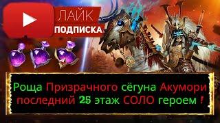 RAID Роща призрачного сёгуна Акумори 25 СОЛО Бад Эль-Казар, Вития Лукавая Akumori the Phantom Shogun