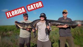 Seth Scores a Big Florida Alligator