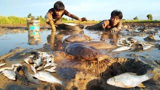 A Fisherman Fishing Hot Water kills many  fish in dry lake during dry season#amazing #fish