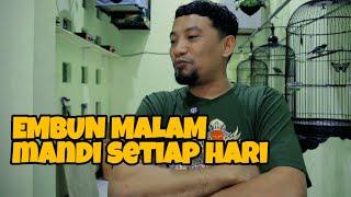 EMBUN MALAM DAN MANDI SETIAP HARI BISA JADI SOLUSI