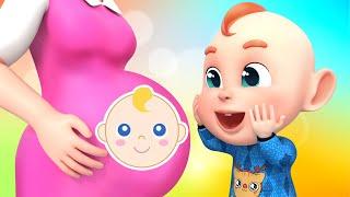 New Sibling Song| Newborn Baby | Taking Care of a Baby | Rosoo Nursery Rhymes & Kids Songs