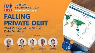 Falling Private Debt: 2024 Global Debt Database