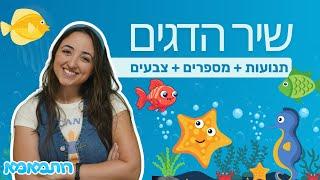 שרים עם רותמאמא - שיר הדגים | שירים לילדים