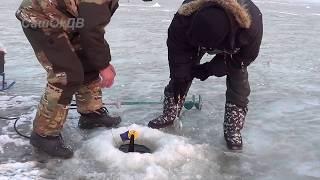 Зима, озеро Ханка, щука на жерлицы(на флажки)... Winter fishing for pike, Lake Khanka...