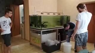Новый аквариум 1200 литров, новые впечатления, новые рыбки