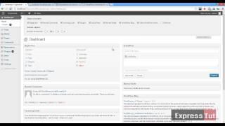 Overview of the wordpress dashboard