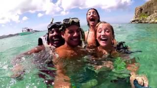 Rhino Safari tour in St Maarten - Caribbean