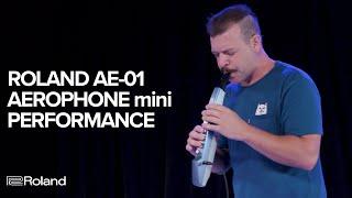 Roland AE-01 Aerophone mini: Performance and Sounds