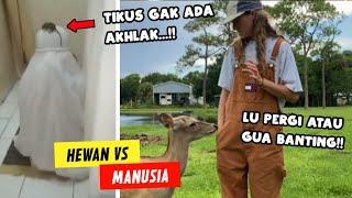 Manusia VS Hewan!! Kumpulan Video Hewan Ngeselin Yang Terekam Kamera