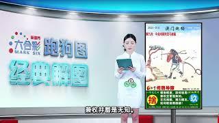 第015期 --【新澳门跑狗图】白小姐精准解图带你飞