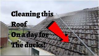 We cleaned a roof on a miserable two days here in Scotland -