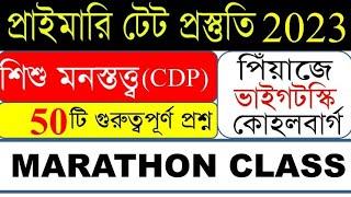 শিশু শিক্ষা ও শিশু মনস্তত্ত্ব (CDP) Marathon Class -1||Piaget/Vygotsky/Kohlberg|| WB Primary Tet