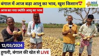 बंगाल में आज आलू का भाव बढ़ने से खुश किसान  क्या किसान आलू बेच रहे हैं ? पैदावार अच्छी हो रही है ?